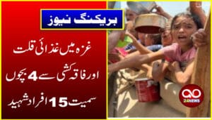 غزہ میں غذائی قلت اور فاقہ کشی سے 4 بچوں سمیت 15 افراد شہید