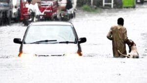 حالیہ بارشوں میں اموات کی تعداد 252 تک پہنچ گئی