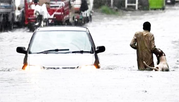 حالیہ بارشوں میں اموات کی تعداد 252 تک پہنچ گئی