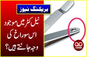 نیل کٹر میں موجود اس سوراخ کی وجہ جانتے ہیں؟