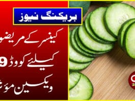 کھیرے کا استعمال کن بیماریوں سے بچا سکتا ہے؟