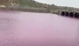 گڈانی جیٹی کا پانی گلابی رنگ کا ہوگیا