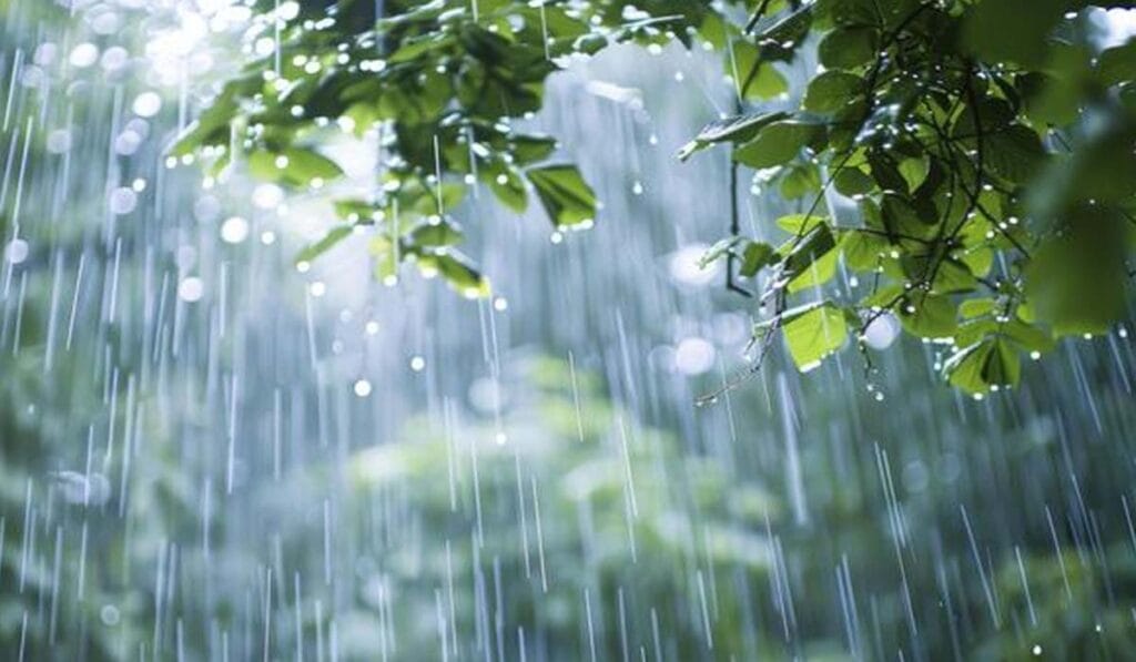 آئندہ 48 گھنٹوں تک تیز بارشوں کی پیش گوئی