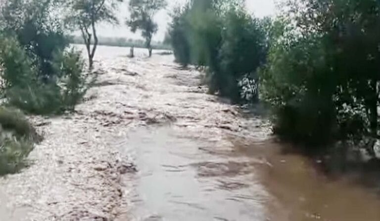 دریائے چناب بپھر گیا،جھنگ،چنیوٹ،شجاع آباد میں تباہی