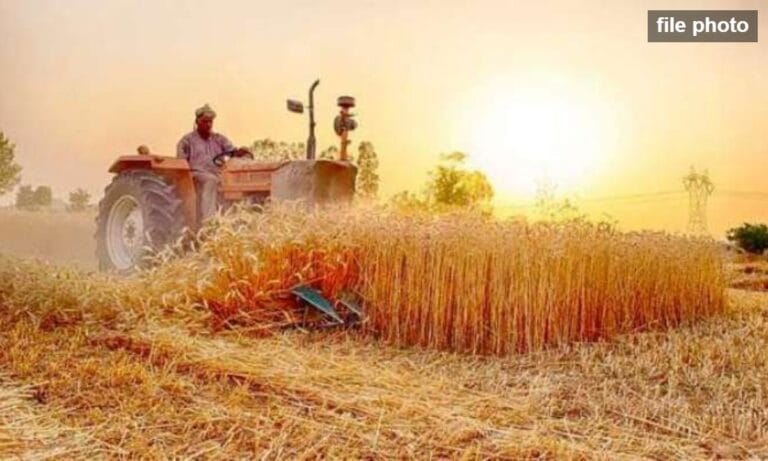 Approval of National Wheat Policy 2025-26