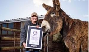 گنیز ورلڈ ریکارڈز میں برطانوی گدھےشامل