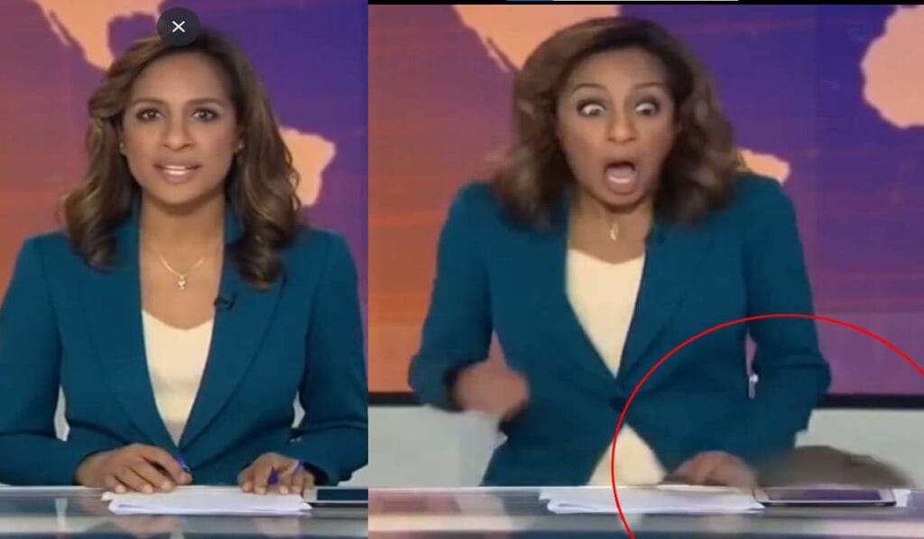 الجزیرہ کے اسٹوڈیو میں لائیو نشریات کے دوران چوہا گھس آیا