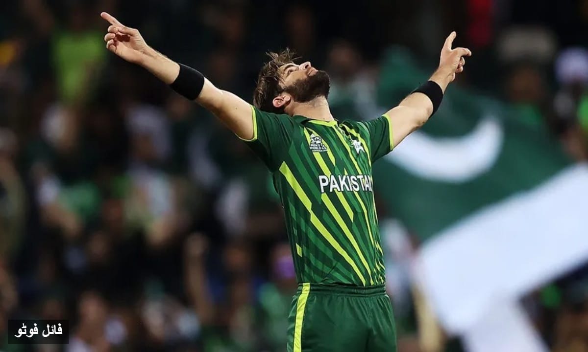 شاہین آفریدی کو پاکستان ون ڈے ٹیم کا کپتان مقرر، جنوبی افریقہ کے خلاف سیریز میں قیادت کریں گے