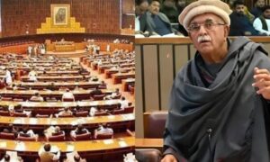 27ویں آئینی ترمیم:محمود خان نے بل کی کاپی پھاڑ دی