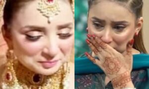 سوشل میڈیا پر تنقید،ڈاکٹر نبیہ علی جذباتی ہوگئیں