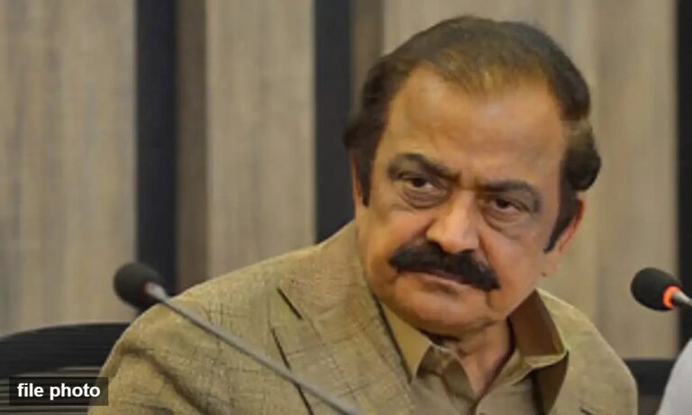 پی ٹی آئی رہنماملکی مفادمیں کام کریں،رانا ثناءاللہ