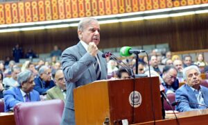 میثاق جمہوریت کا خواب حقیقت میں بدل گیا:وزیراعظم