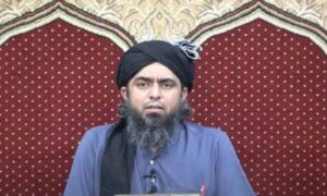 انجینئر محمد علی مرزا کی درخواستِ ضمانت منظور