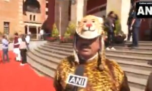 تیندوؤں کے حملوں کے خلاف رکن اسمبلی کا انوکھا احتجاج