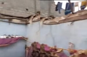 شادی کے گھر چھت گرنے سے 6جاں بحق