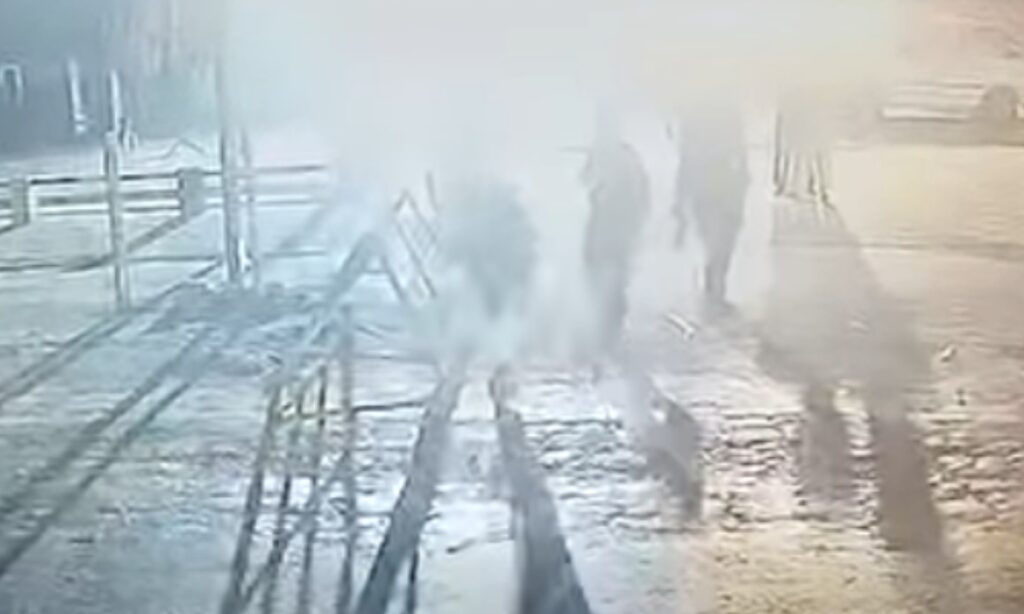 بھکر میں خودکش حملہ،دو اہلکار شہد