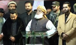 مولانا فضل الرحمان نےحکومت میں شمولیت سے انکارکر دیا