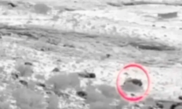 پاک فوج کی کارروائی،ارندو سیکٹر میں افغان طالبان کا مرکز تباہ