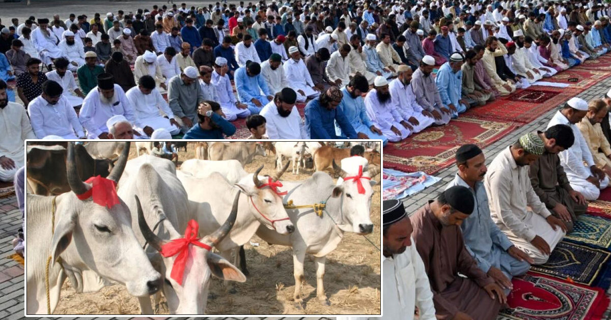 بھارت میں نمازِ عید اور قربانی پر پابندیاں