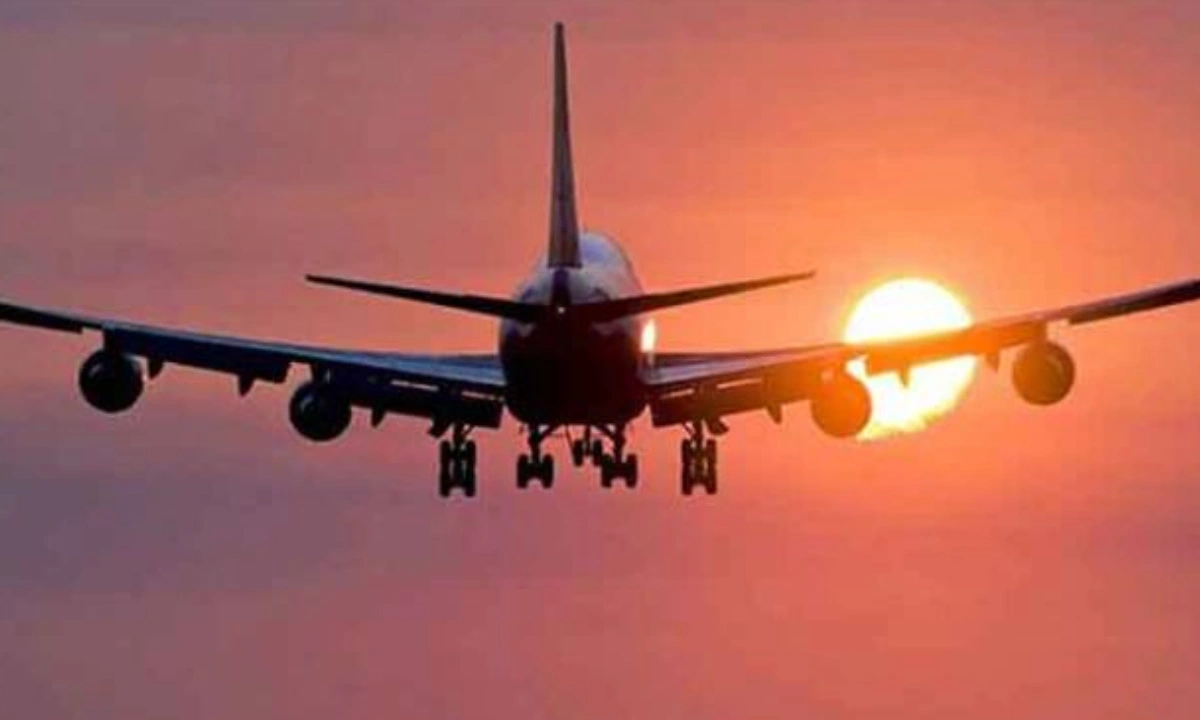 2026 میں 15 ہزار 850 اعلیٰ تعلیم یافتہ پاکستانی روزگار کے لیے بیرونِ ملک منتقل