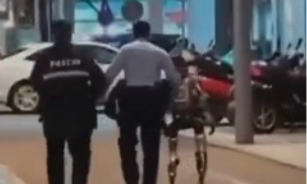 خواتین کو چھیڑنے پر روبوٹ گرفتار